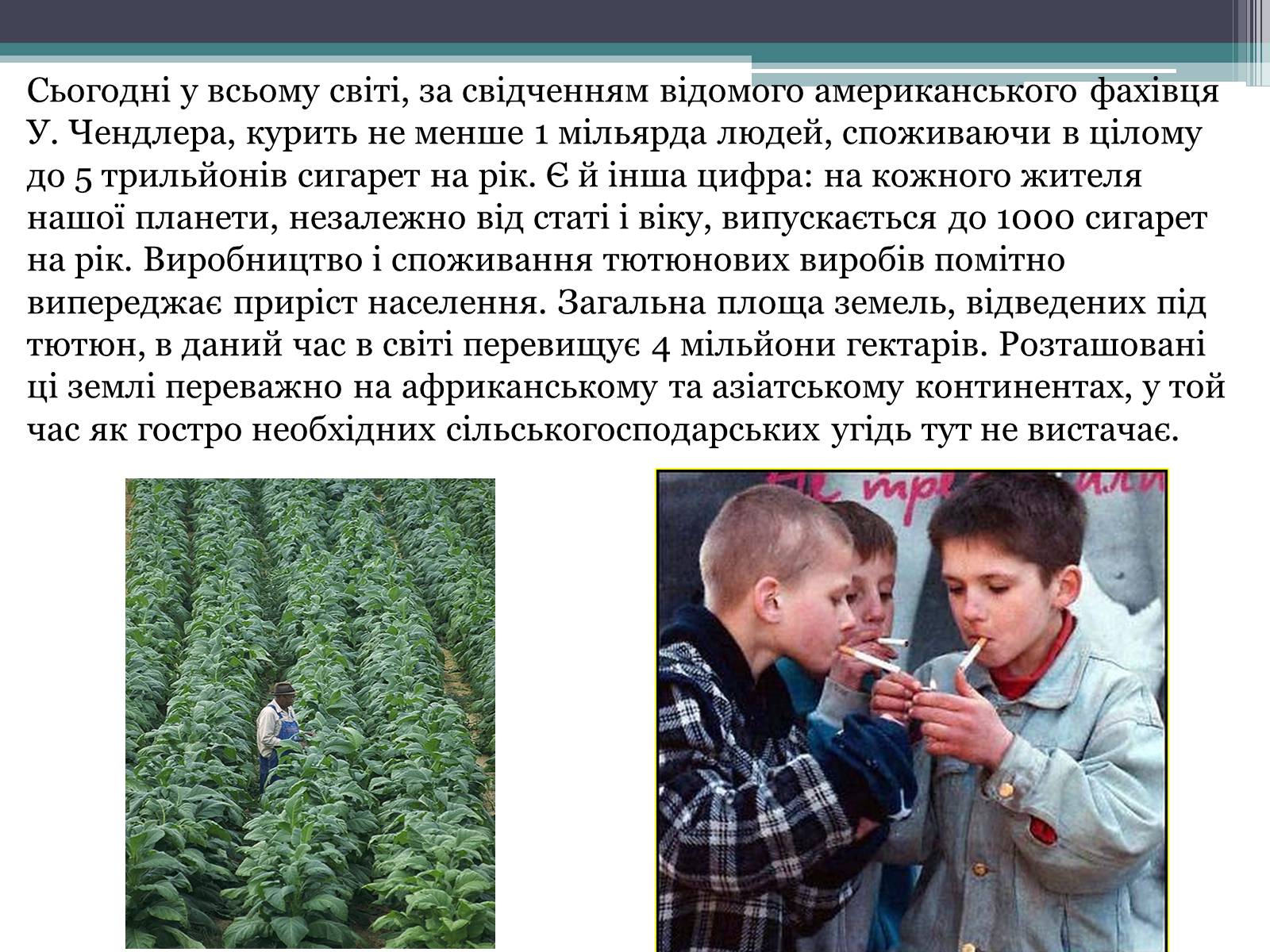 Презентація на тему «Вплив куріння, алкоголю та наркотиків на здоров&#8217;я людини» - Слайд #4