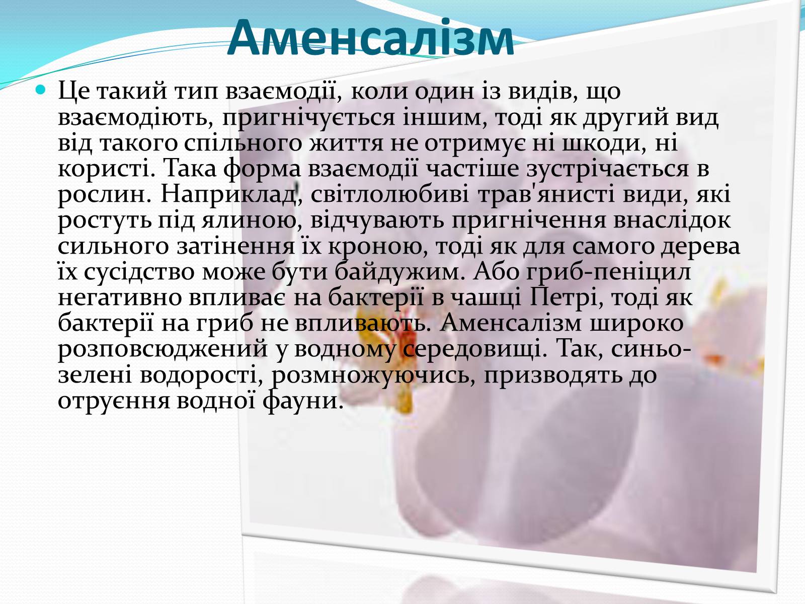 Презентація на тему «Взаємовплив рослин» - Слайд #13