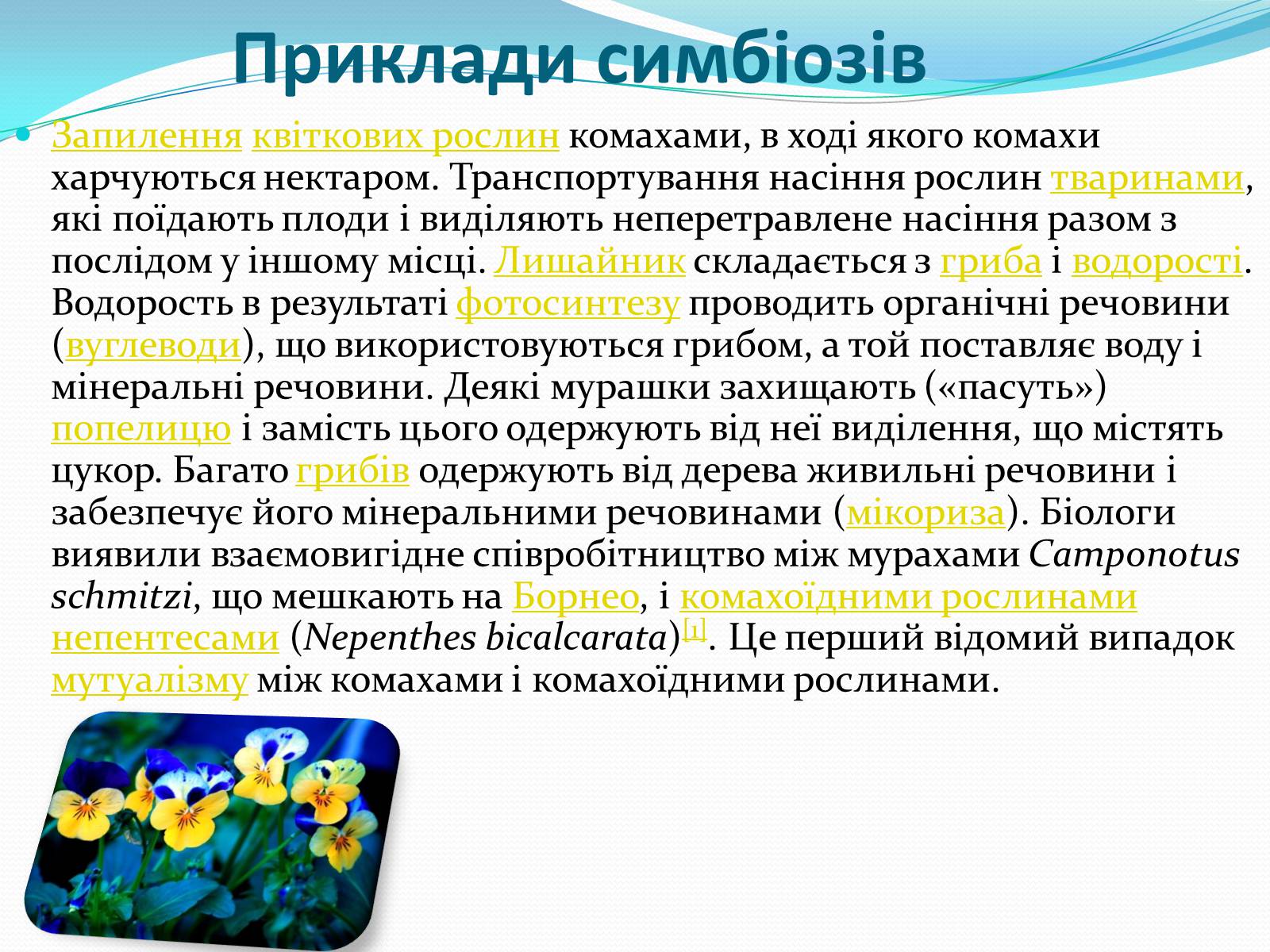 Презентація на тему «Взаємовплив рослин» - Слайд #3