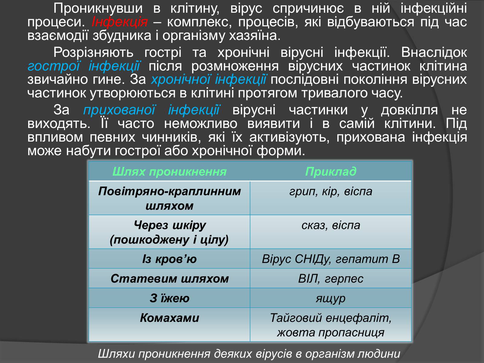 Презентація на тему «Віруси» (варіант 20) - Слайд #11