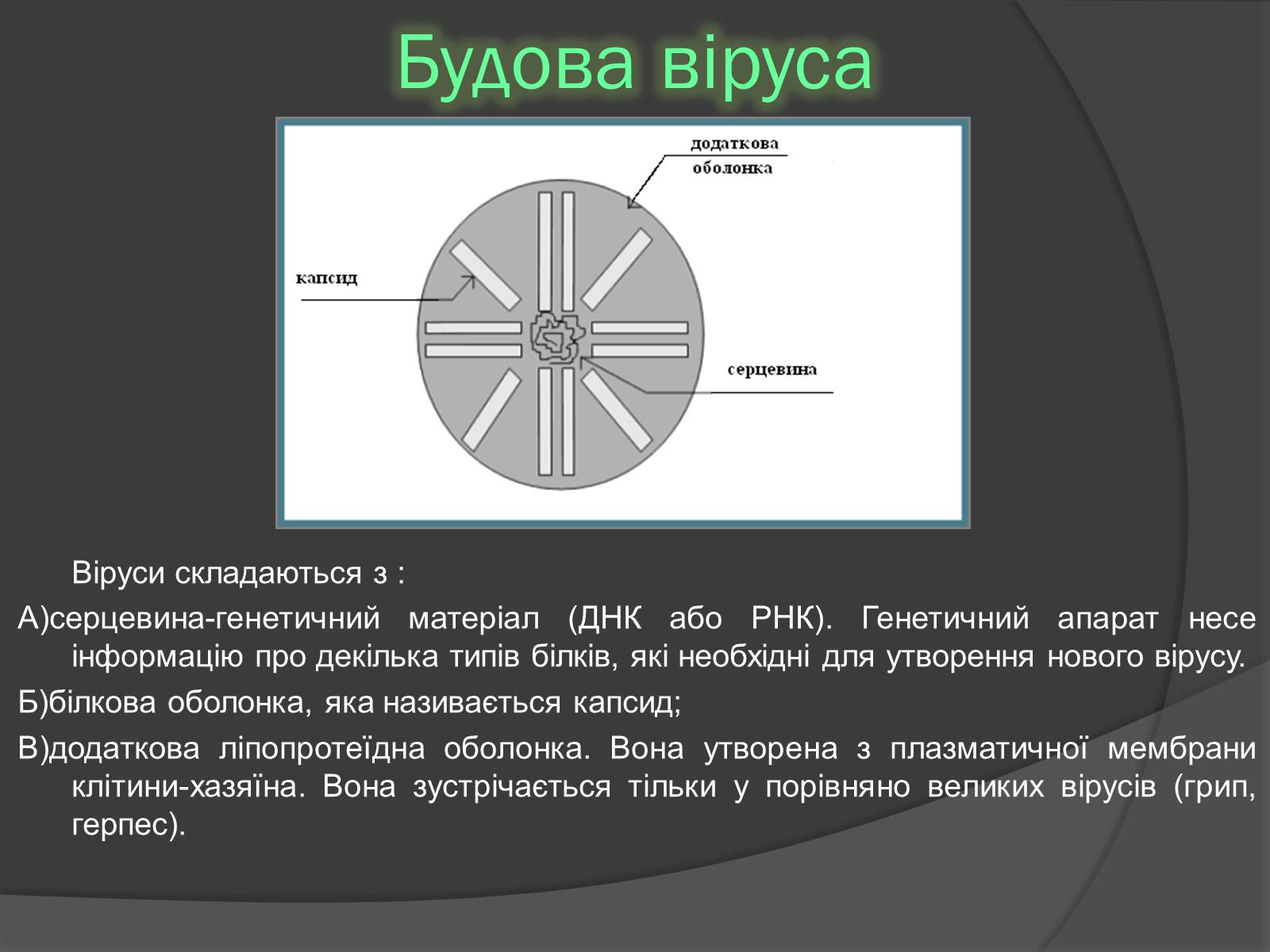 Презентація на тему «Віруси» (варіант 20) - Слайд #4