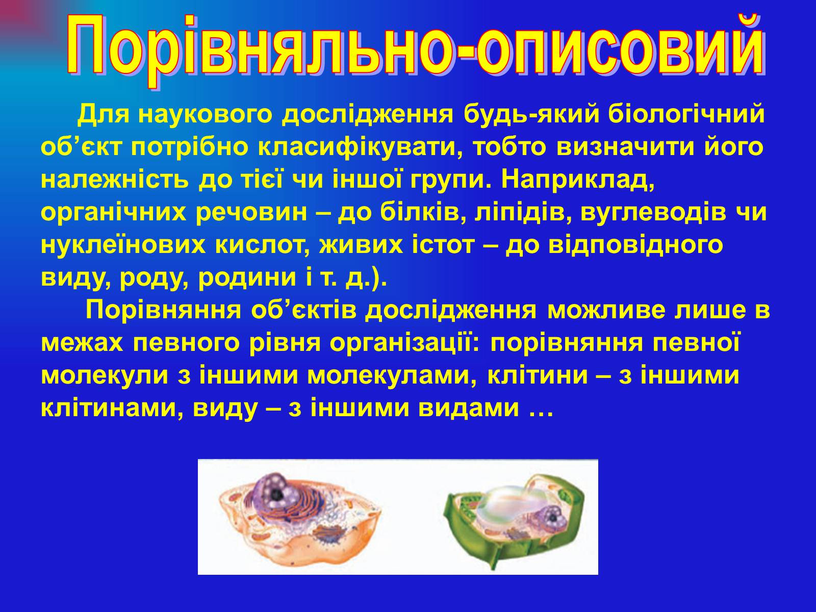 Презентація на тему «Основи загальної біології» - Слайд #11