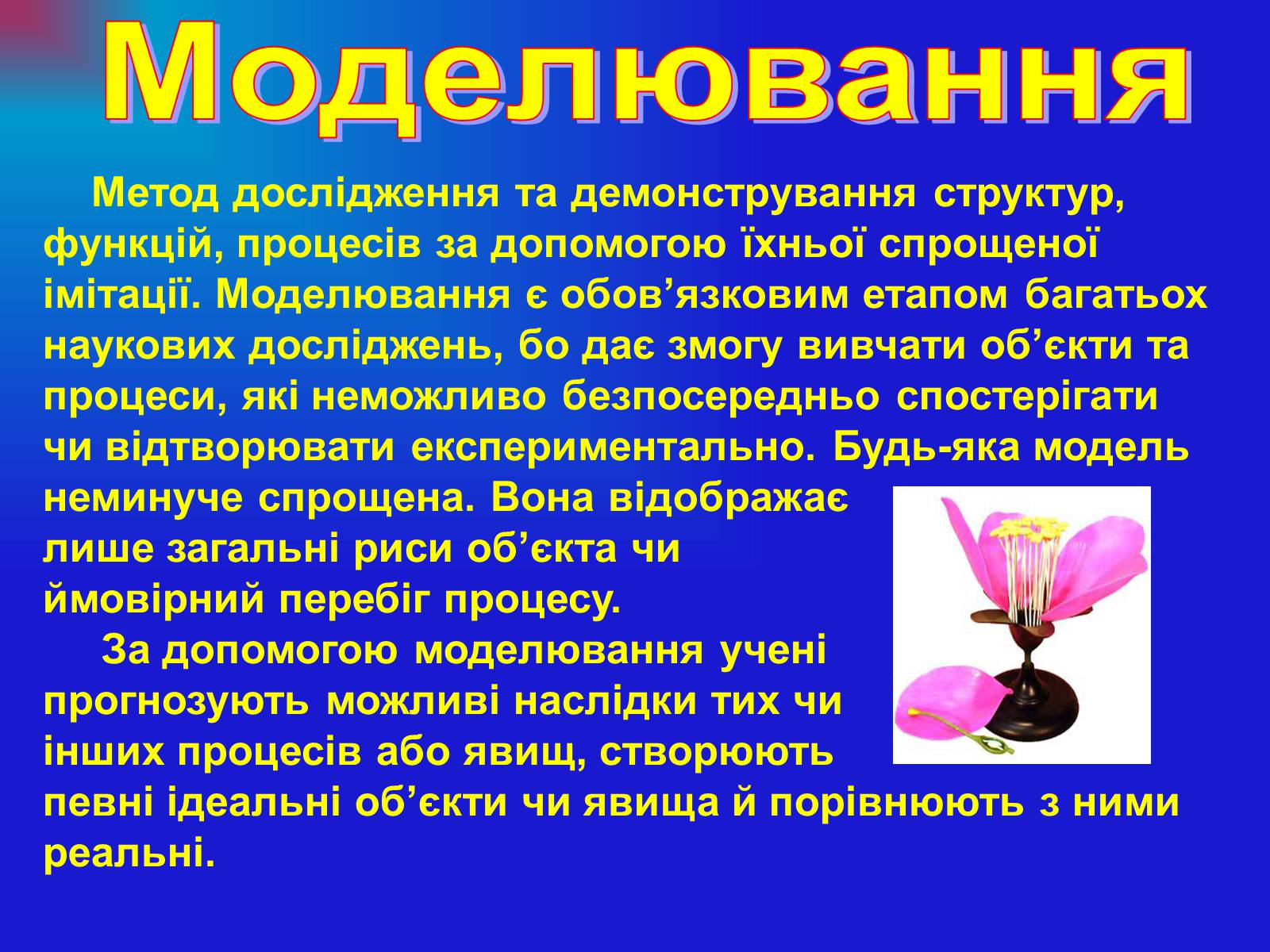 Презентація на тему «Основи загальної біології» - Слайд #14