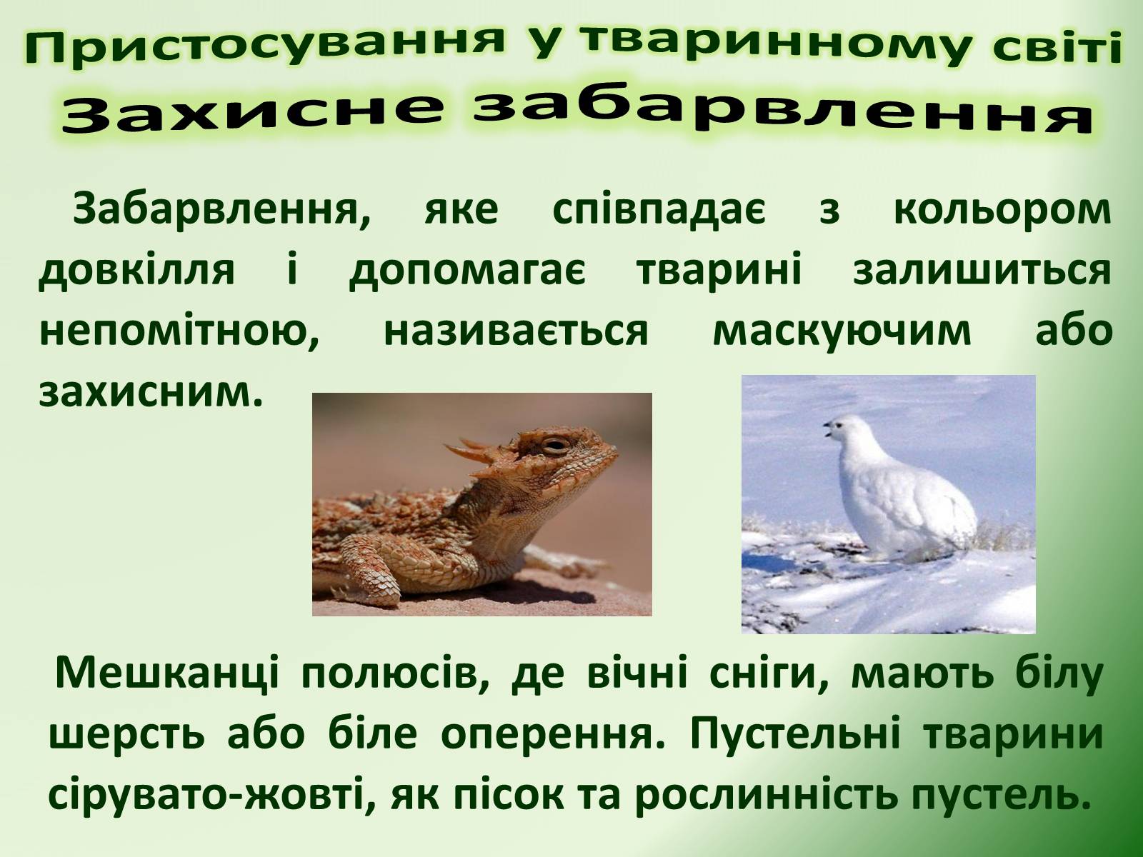 Презентація на тему «Пристосування у тваринному світі та їх відносний характер» - Слайд #2