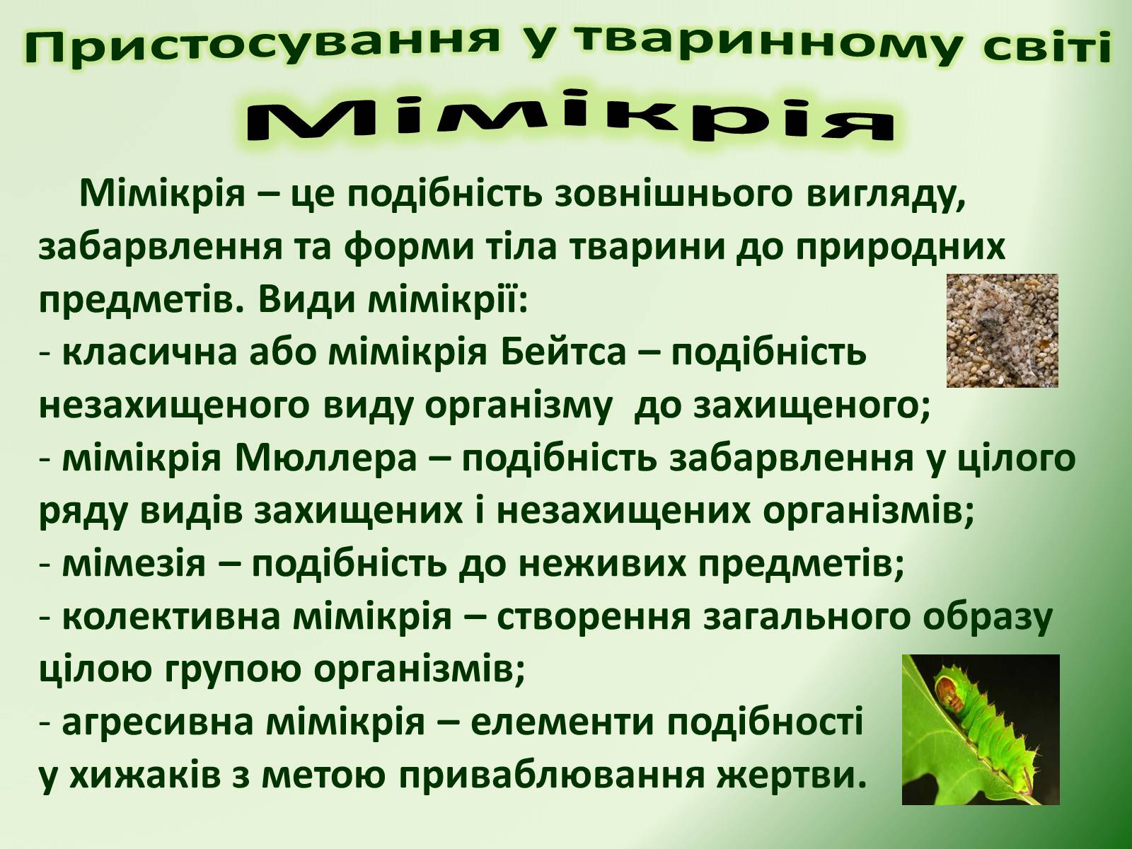 Презентація на тему «Пристосування у тваринному світі та їх відносний характер» - Слайд #25