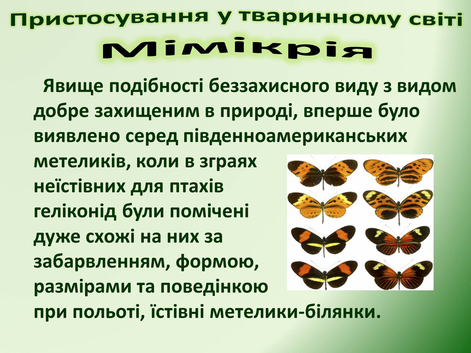 Презентація на тему «Пристосування у тваринному світі та їх відносний характер» - Слайд #29