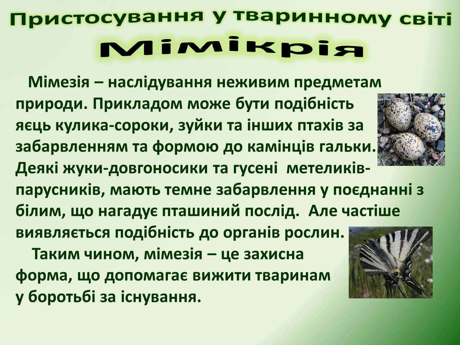 Презентація на тему «Пристосування у тваринному світі та їх відносний характер» - Слайд #32