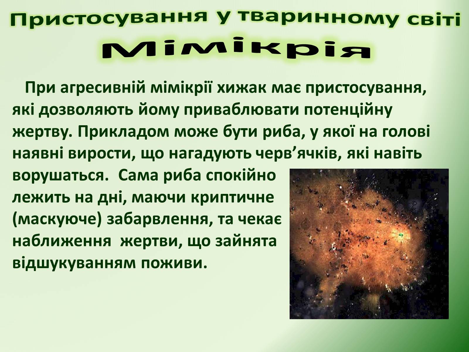 Презентація на тему «Пристосування у тваринному світі та їх відносний характер» - Слайд #33