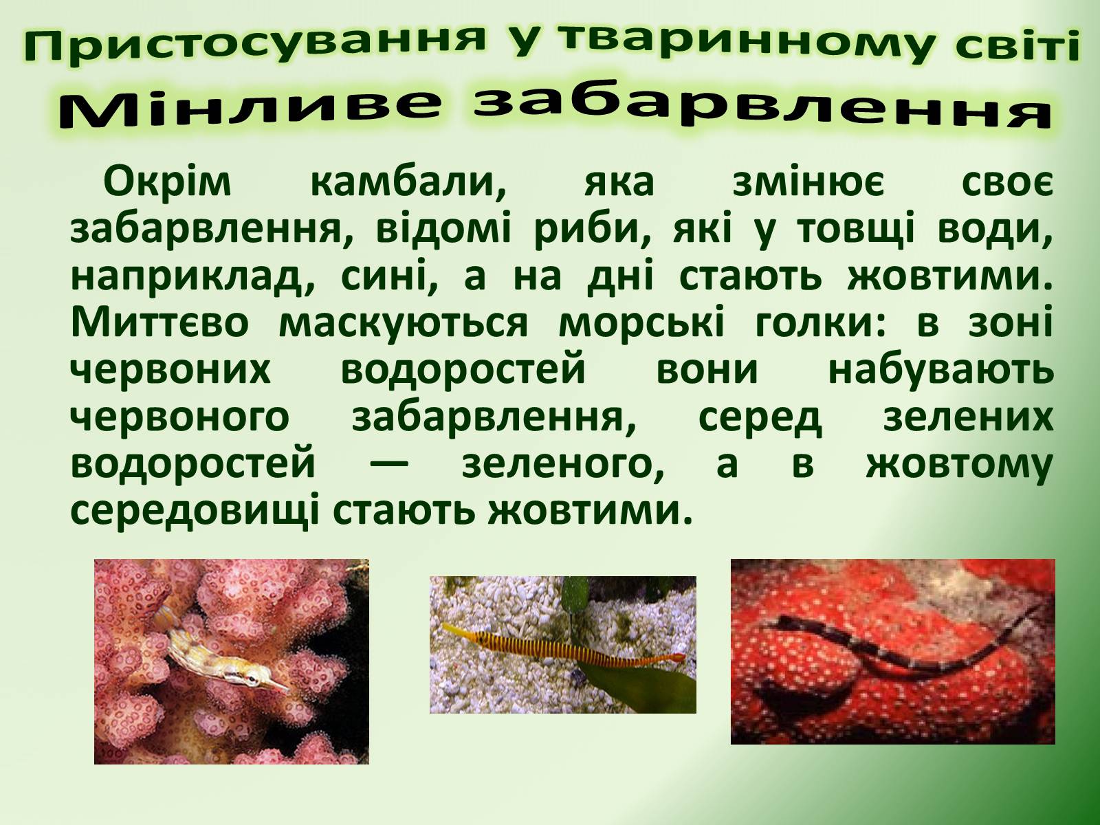 Презентація на тему «Пристосування у тваринному світі та їх відносний характер» - Слайд #40