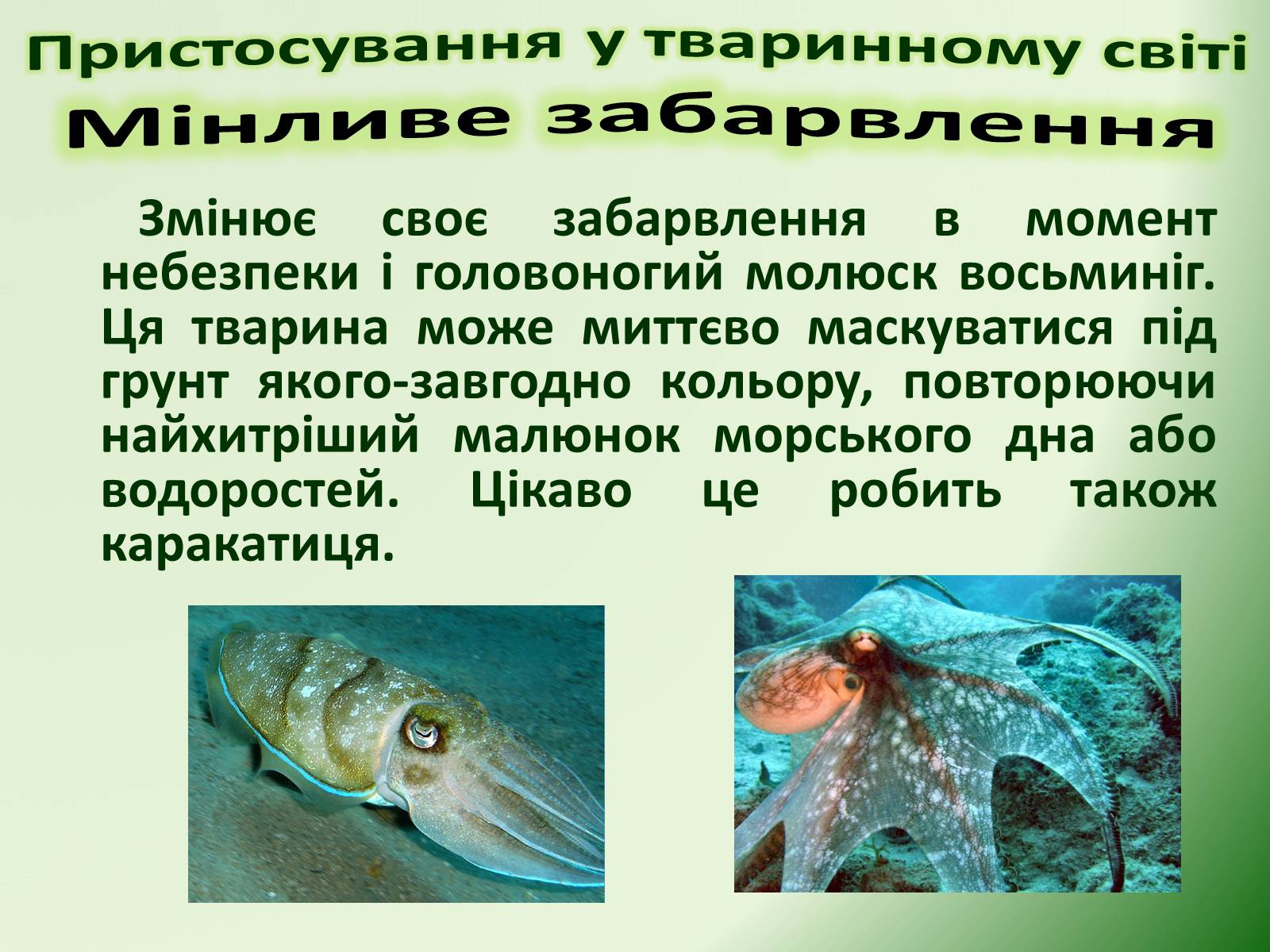 Презентація на тему «Пристосування у тваринному світі та їх відносний характер» - Слайд #42