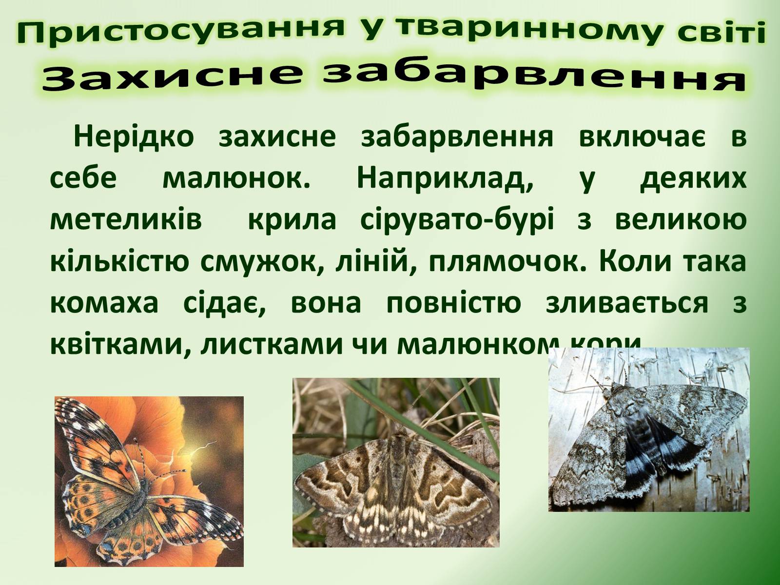 Презентація на тему «Пристосування у тваринному світі та їх відносний характер» - Слайд #5