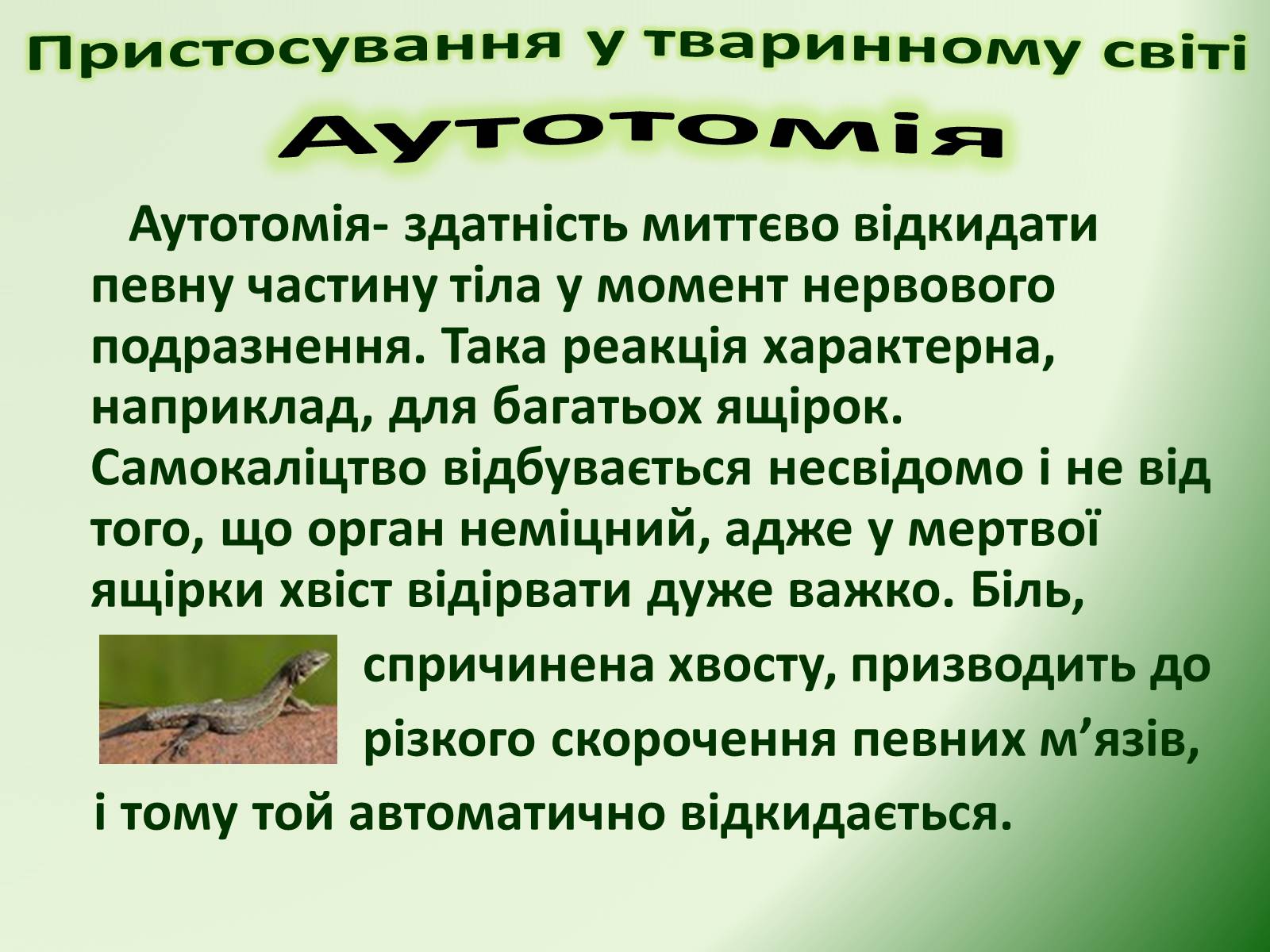 Презентація на тему «Пристосування у тваринному світі та їх відносний характер» - Слайд #52