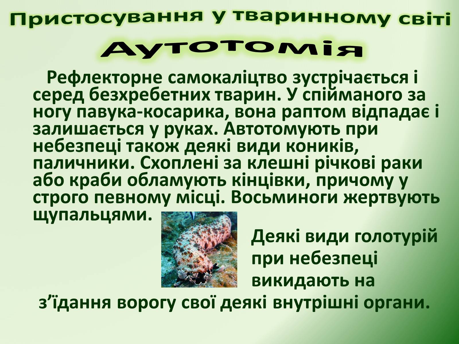 Презентація на тему «Пристосування у тваринному світі та їх відносний характер» - Слайд #53