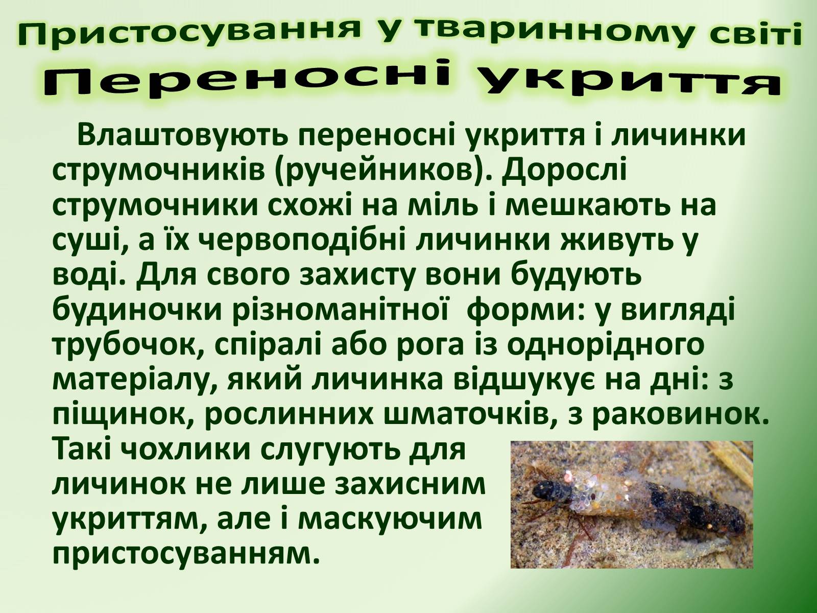 Презентація на тему «Пристосування у тваринному світі та їх відносний характер» - Слайд #57