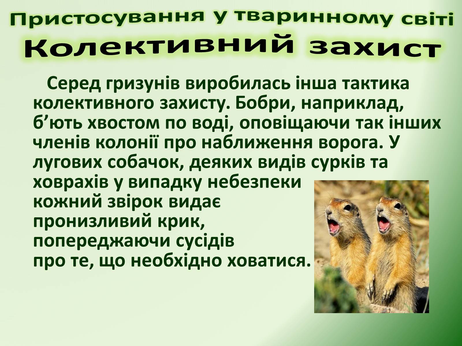 Презентація на тему «Пристосування у тваринному світі та їх відносний характер» - Слайд #60