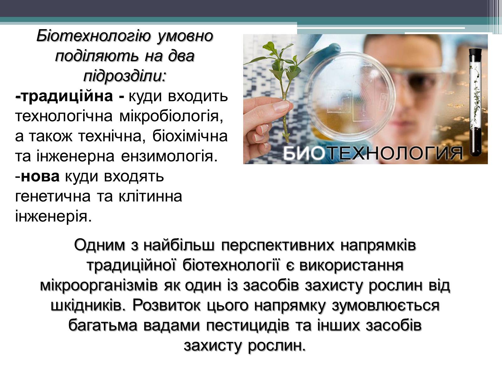 Презентація на тему «Основні напрямки сучасної біотехнології» (варіант 3) - Слайд #4