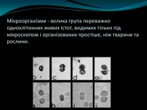 Презентація на тему «Мікроорганізми»