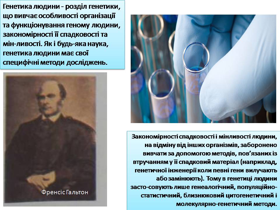 Презентація на тему «Генетика людини» (варіант 6) - Слайд #2