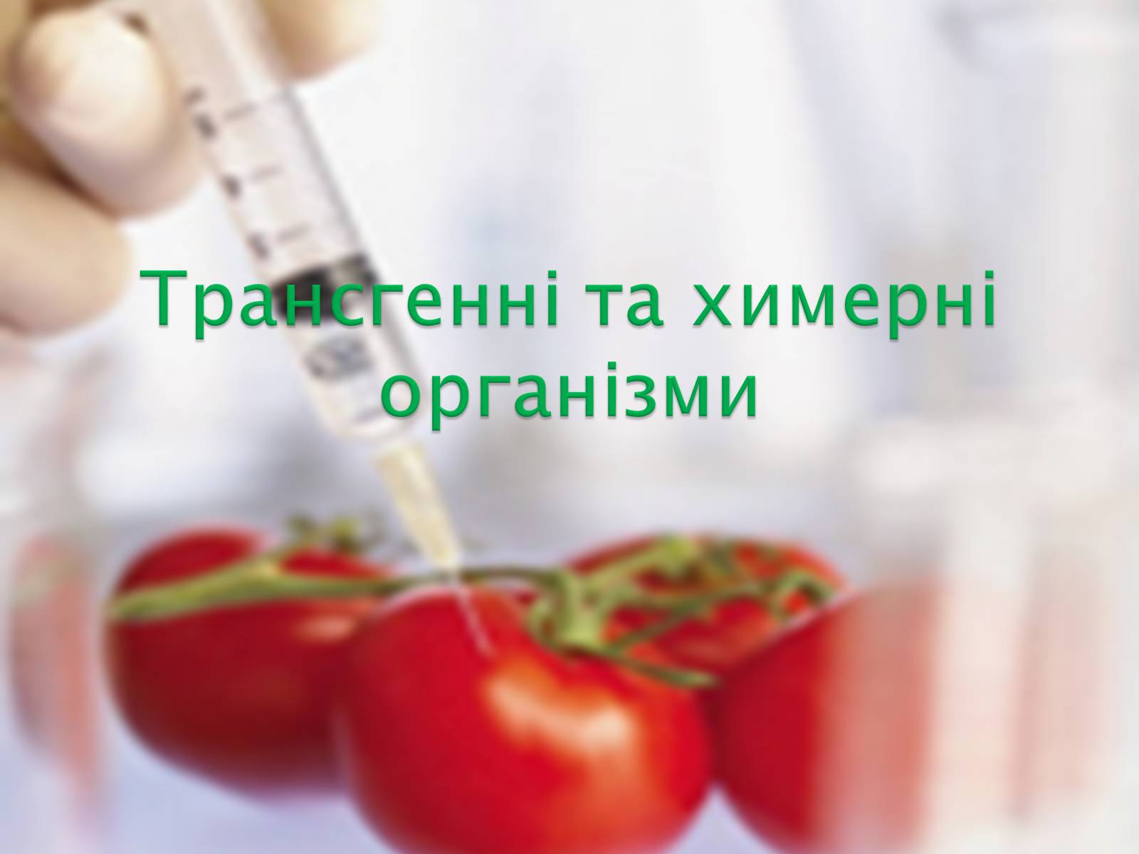 Презентація на тему «Трансгенні та химерні організми» (варіант 2) - Слайд #1