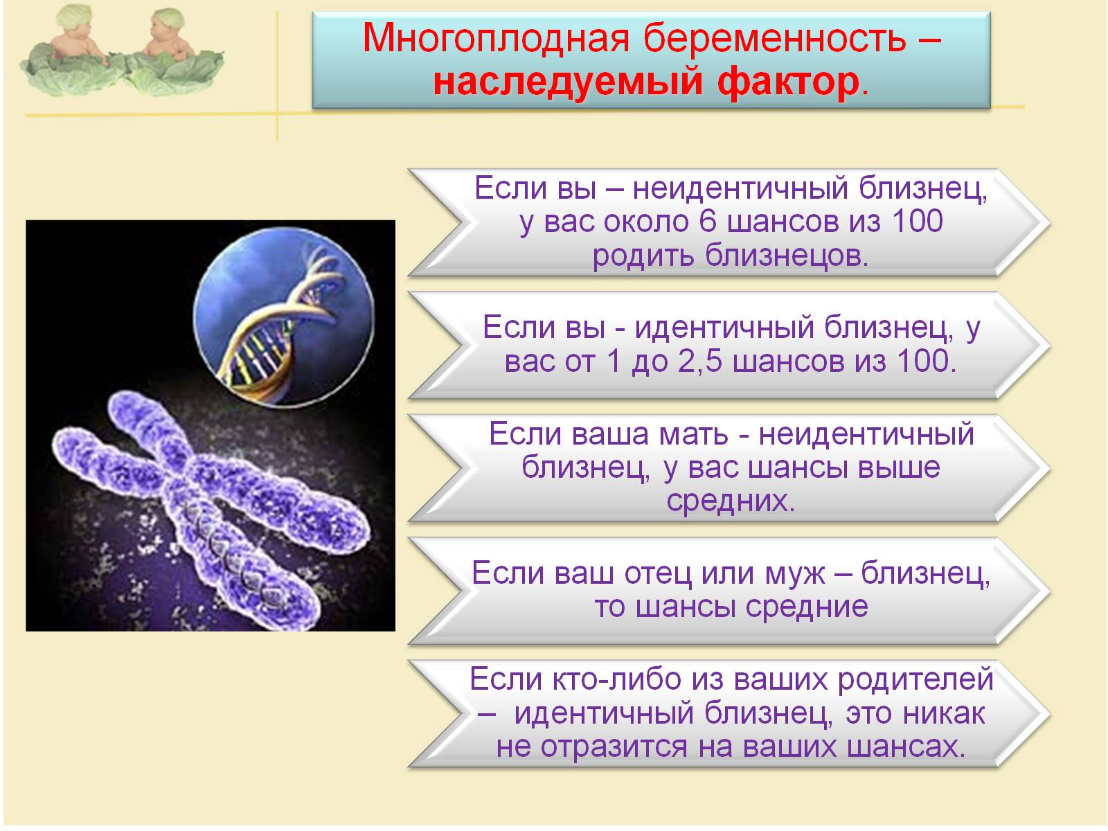 Презентація на тему «Близнецы» - Слайд #9