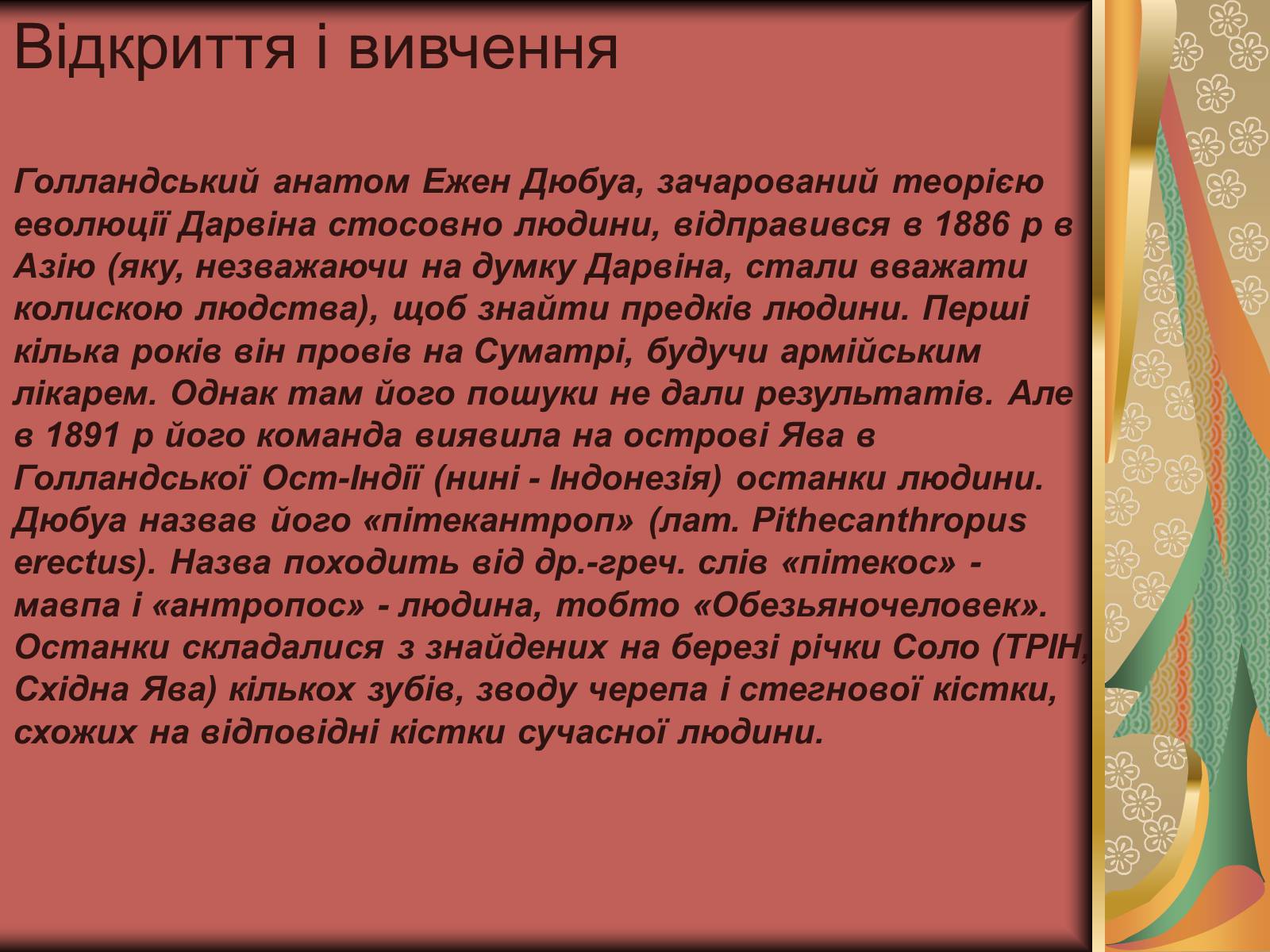 Презентація на тему «Людина прямоходяча» - Слайд #5