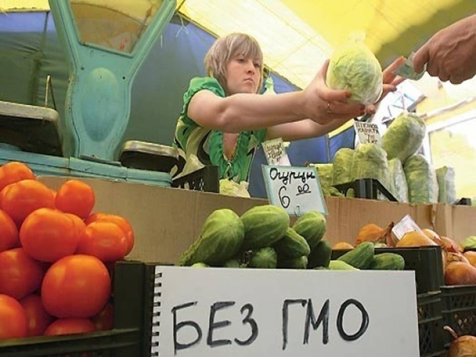 Презентація на тему «Генетично модифіковані організми» (варіант 5) - Слайд #2