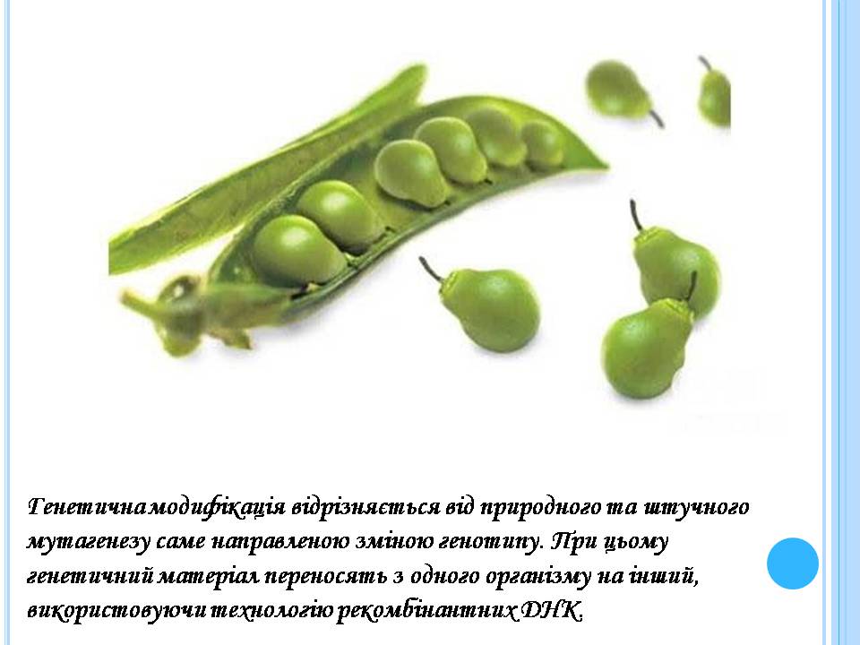 Презентація на тему «Генетично модифіковані організми» (варіант 5) - Слайд #5