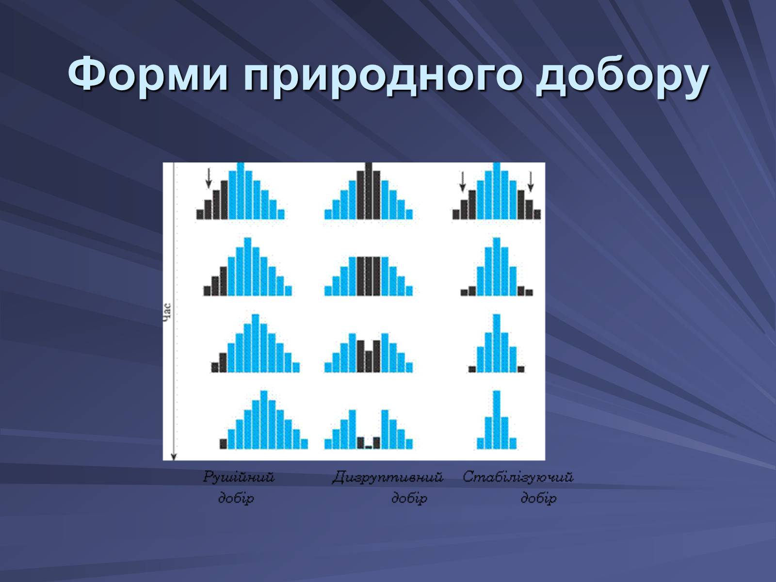 Презентація на тему «Основи еволюційного вчення» - Слайд #7