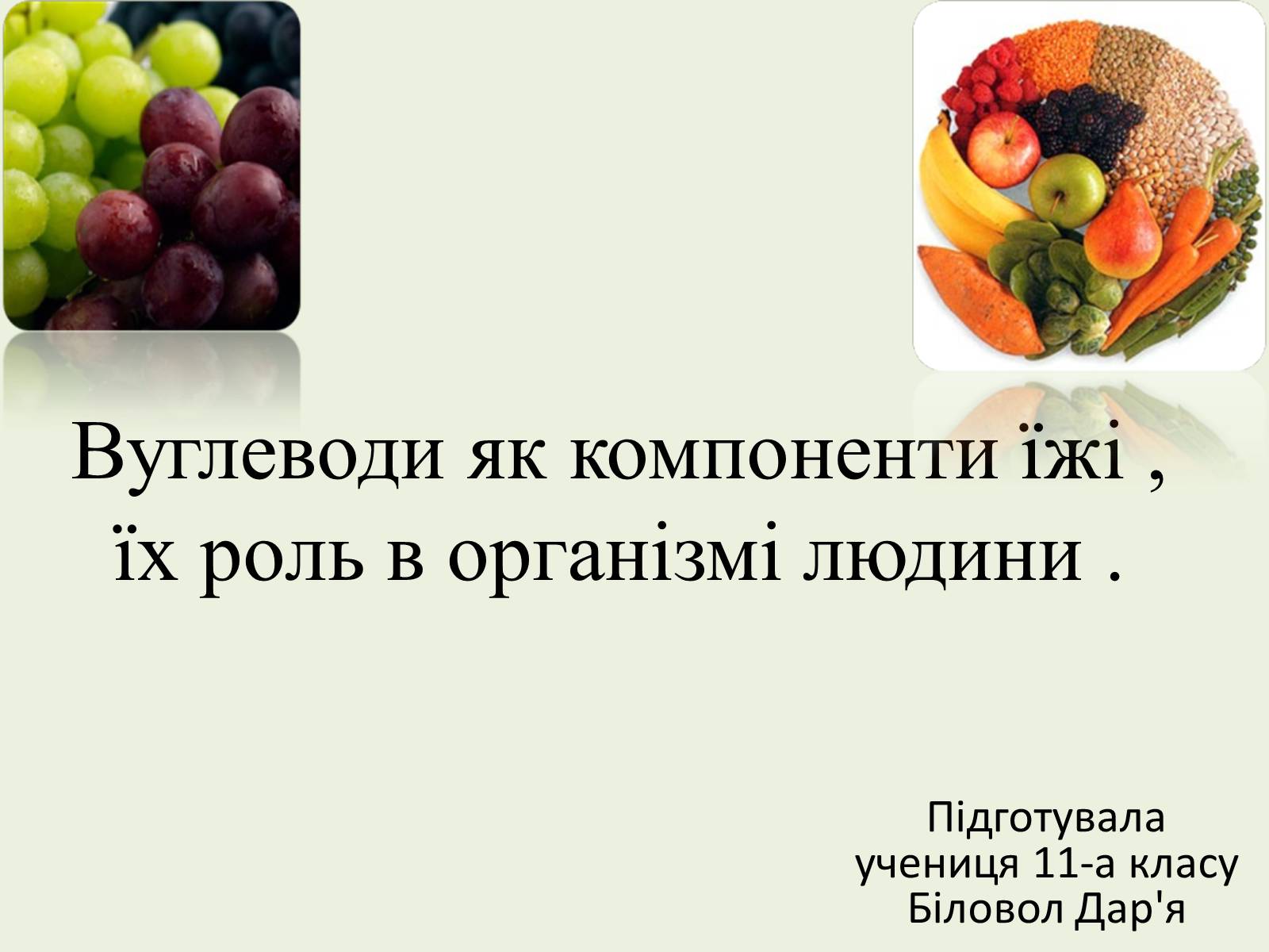 Презентація на тему «Вуглеводи як компоненти їжі, їх роль у житті людини» (варіант 22) - Слайд #1