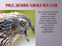 Презентація на тему «Ряд Денні хижі птахи»