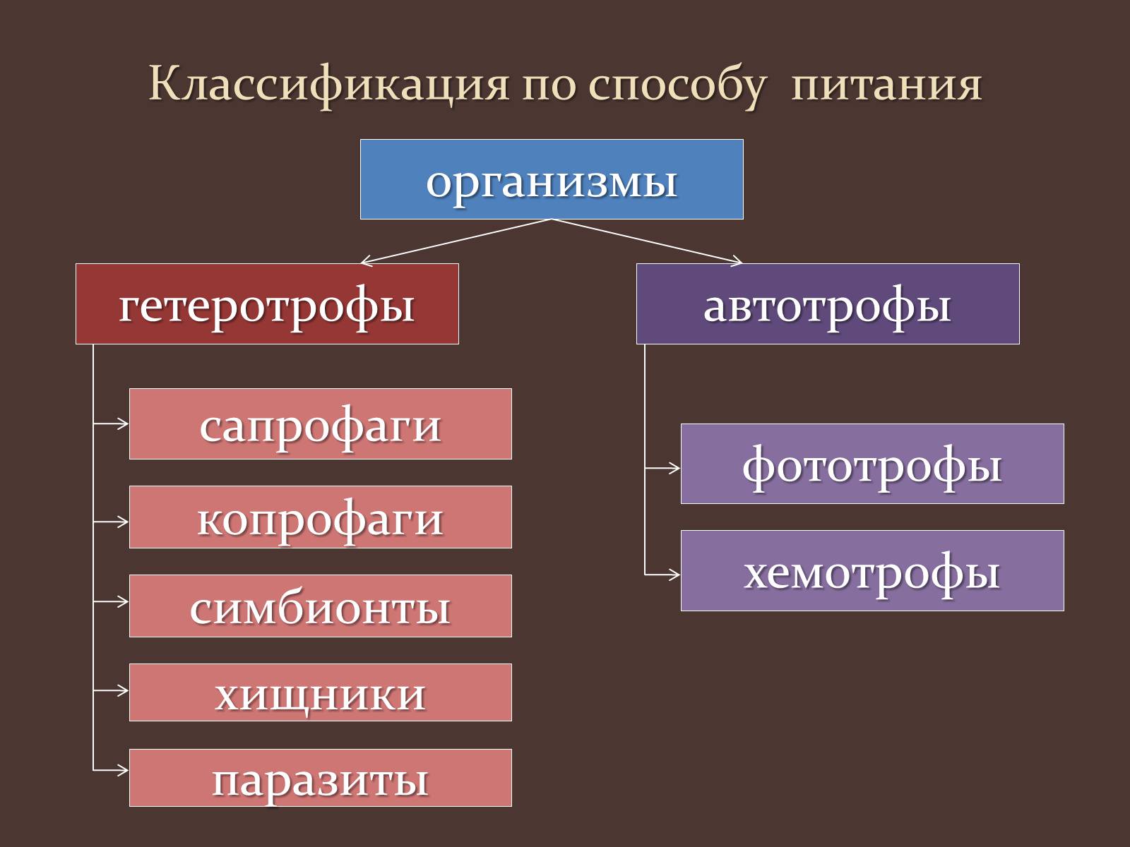 Презентація на тему «Метаболизм клетки» - Слайд #6