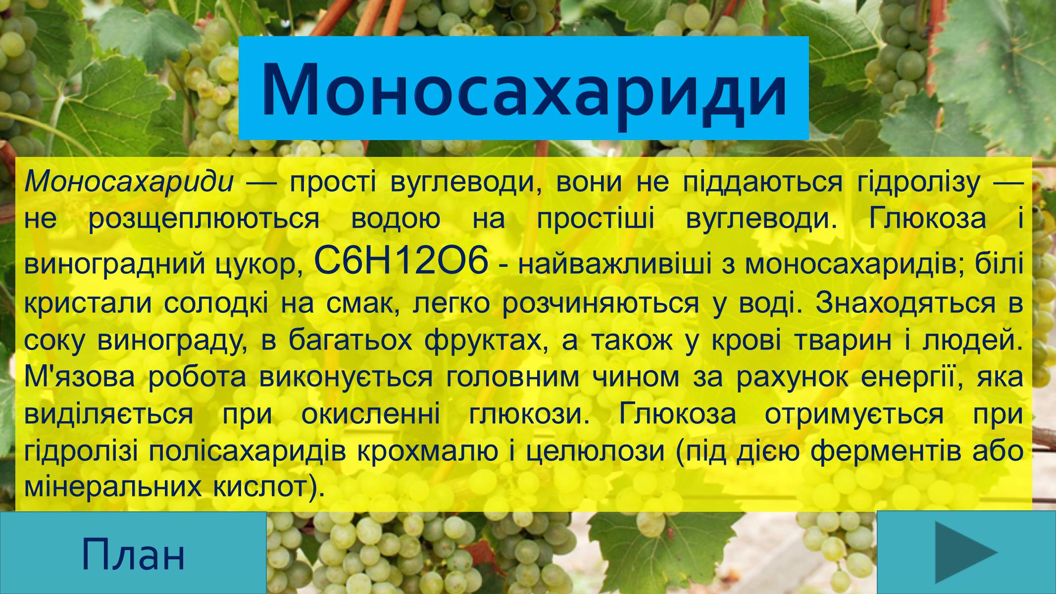 Презентація на тему «Вуглеводи як компоненти їжі, їх роль у житті людини» (варіант 25) - Слайд #6