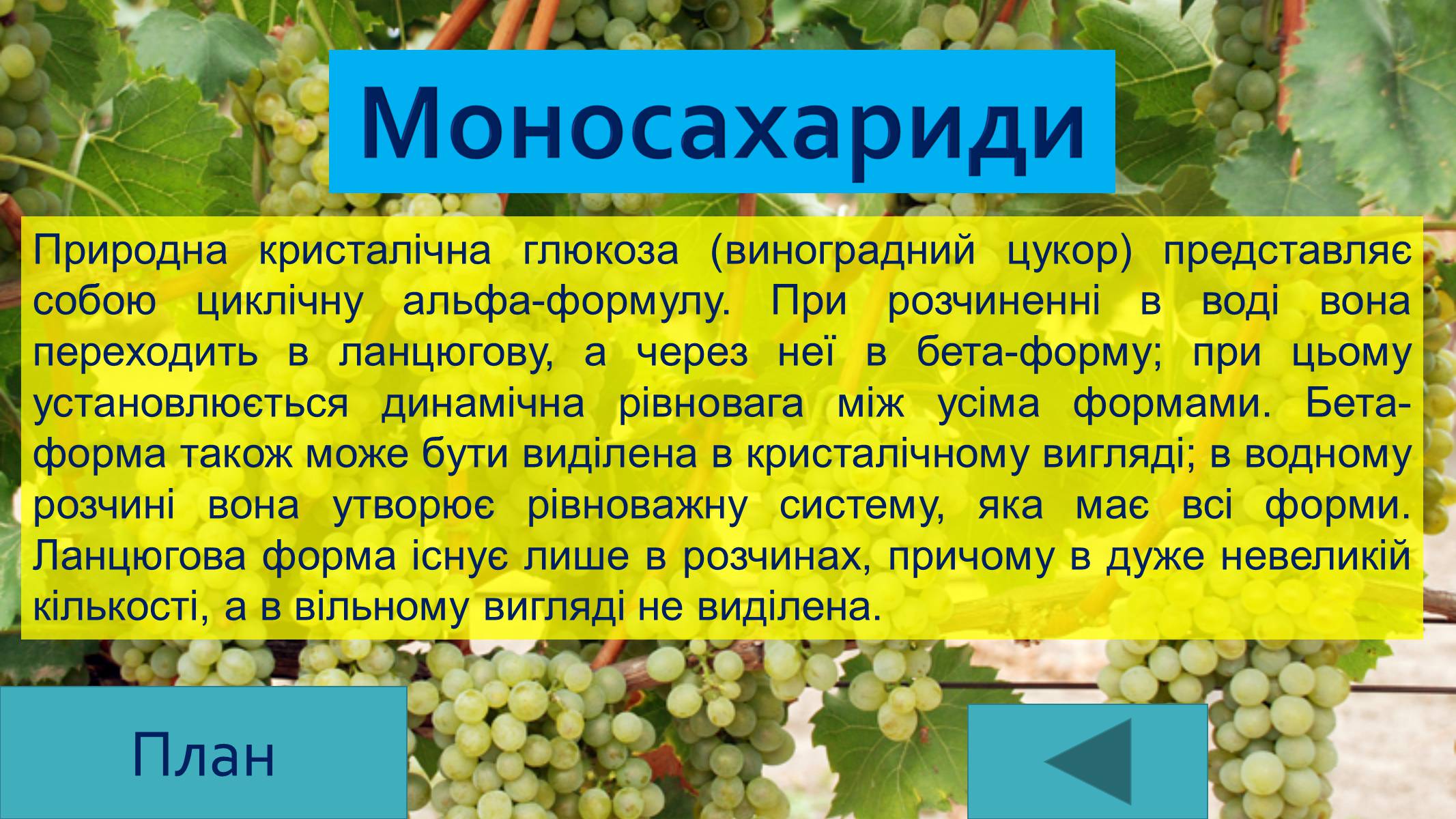 Презентація на тему «Вуглеводи як компоненти їжі, їх роль у житті людини» (варіант 25) - Слайд #9