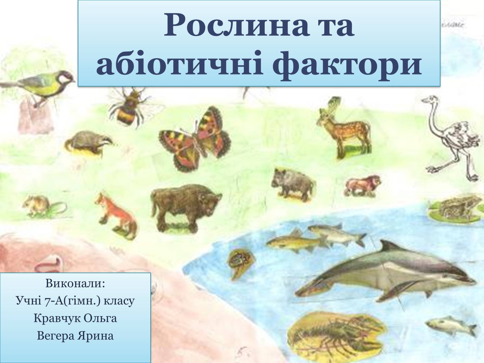 Презентація на тему «Рослина та абіотичні фактори» - Слайд #1