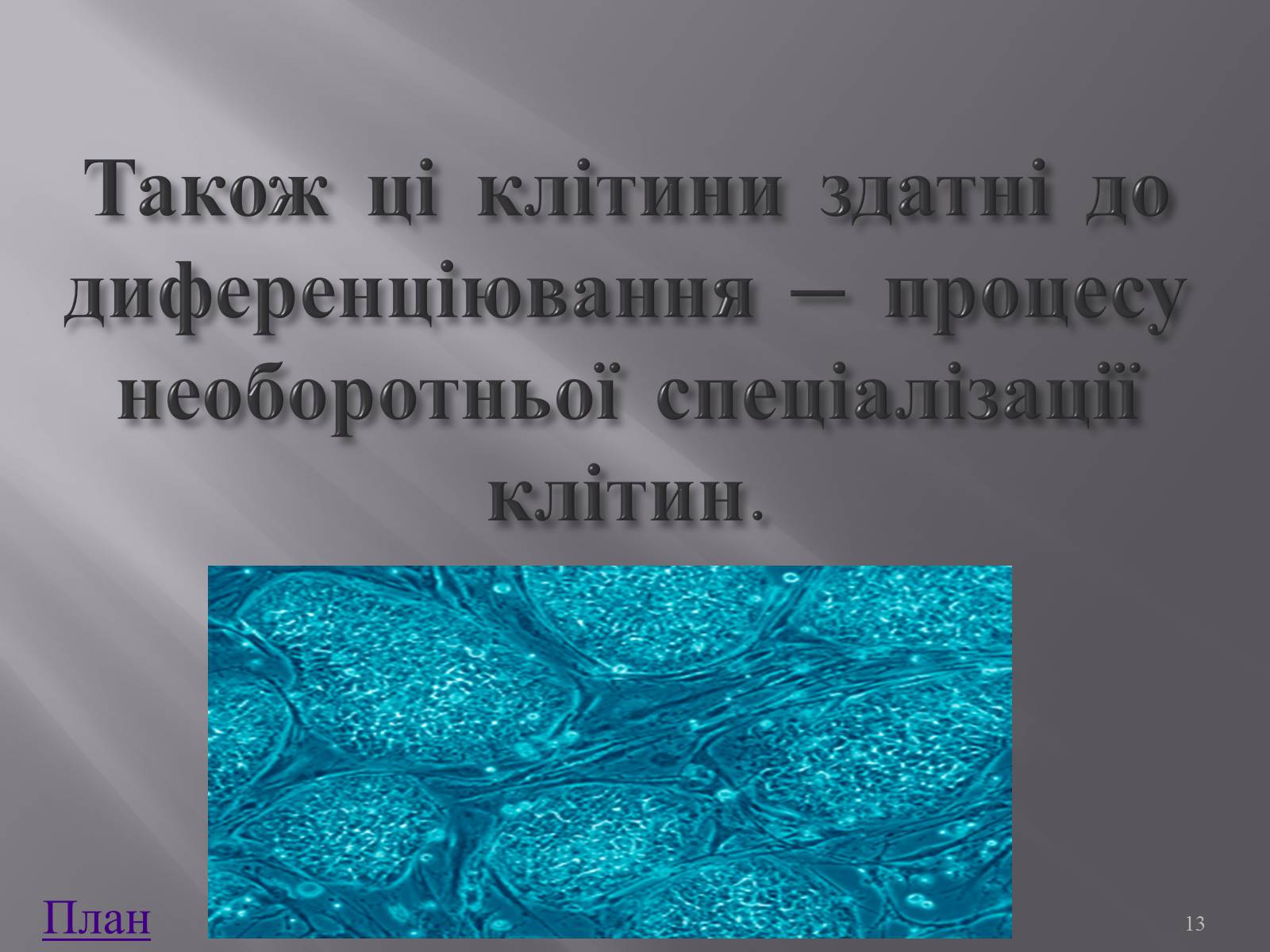 Презентація на тему «Клонування і ембріотехнології» (варіант 1) - Слайд #13