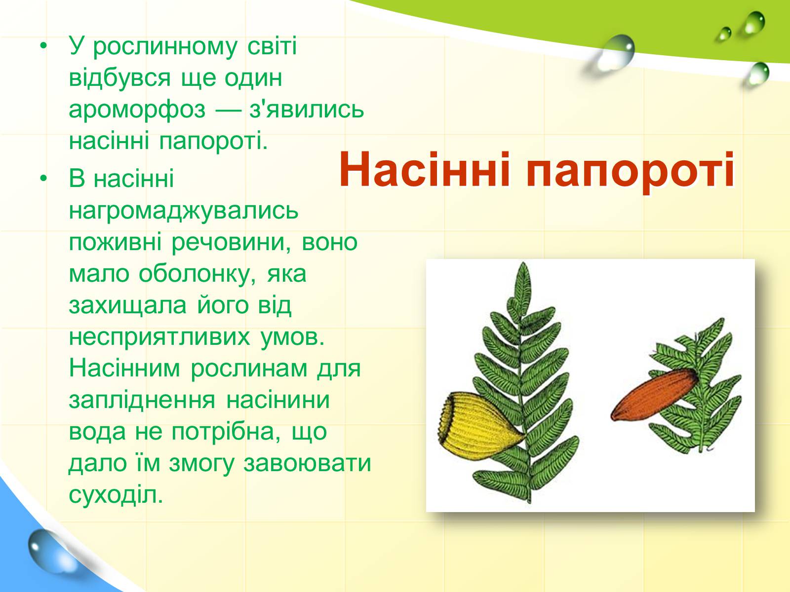 Презентація на тему «Розвиток життя в палеозойську еру» - Слайд #13