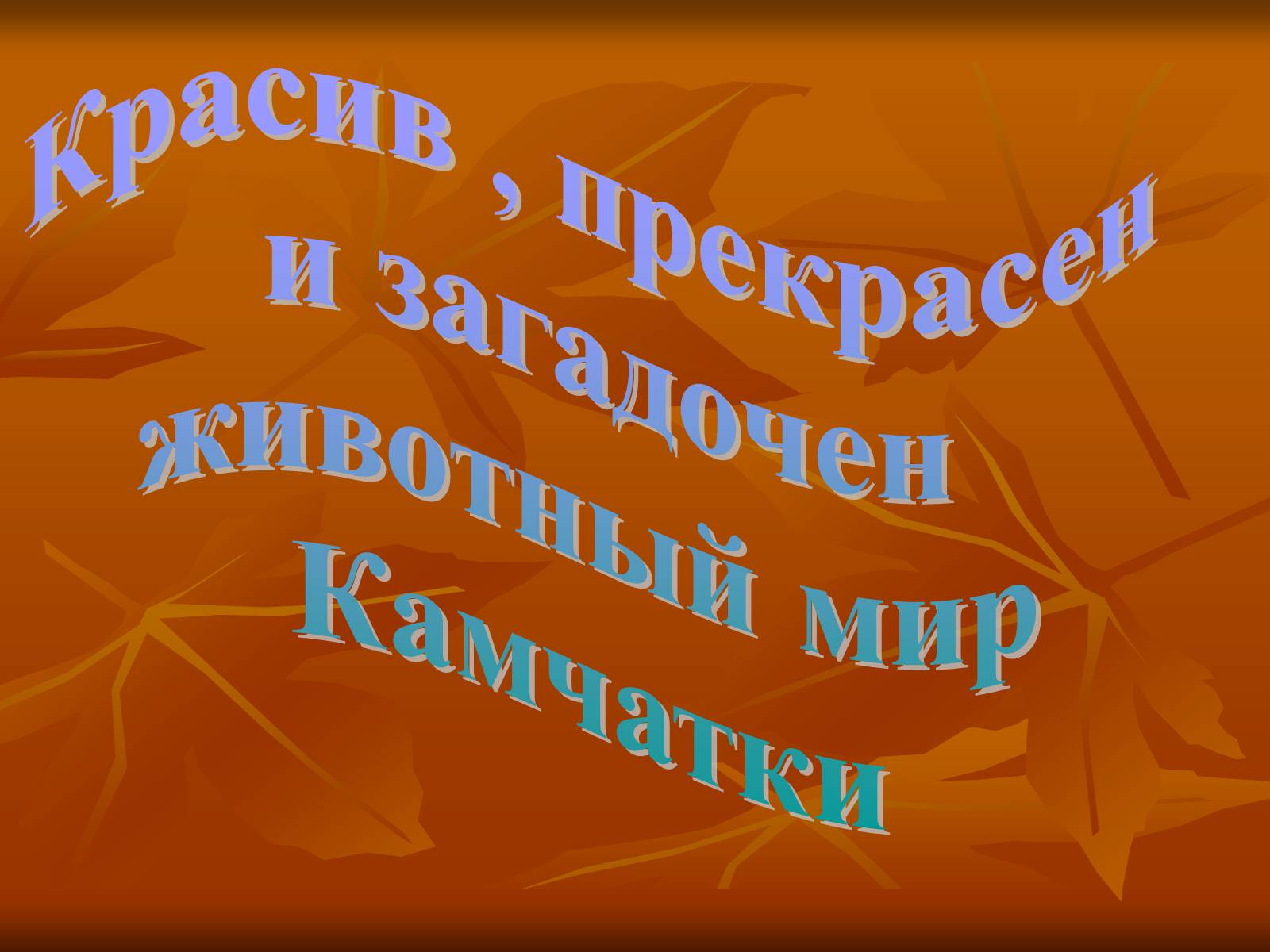 Презентація на тему «Животные Камчатки» - Слайд #12