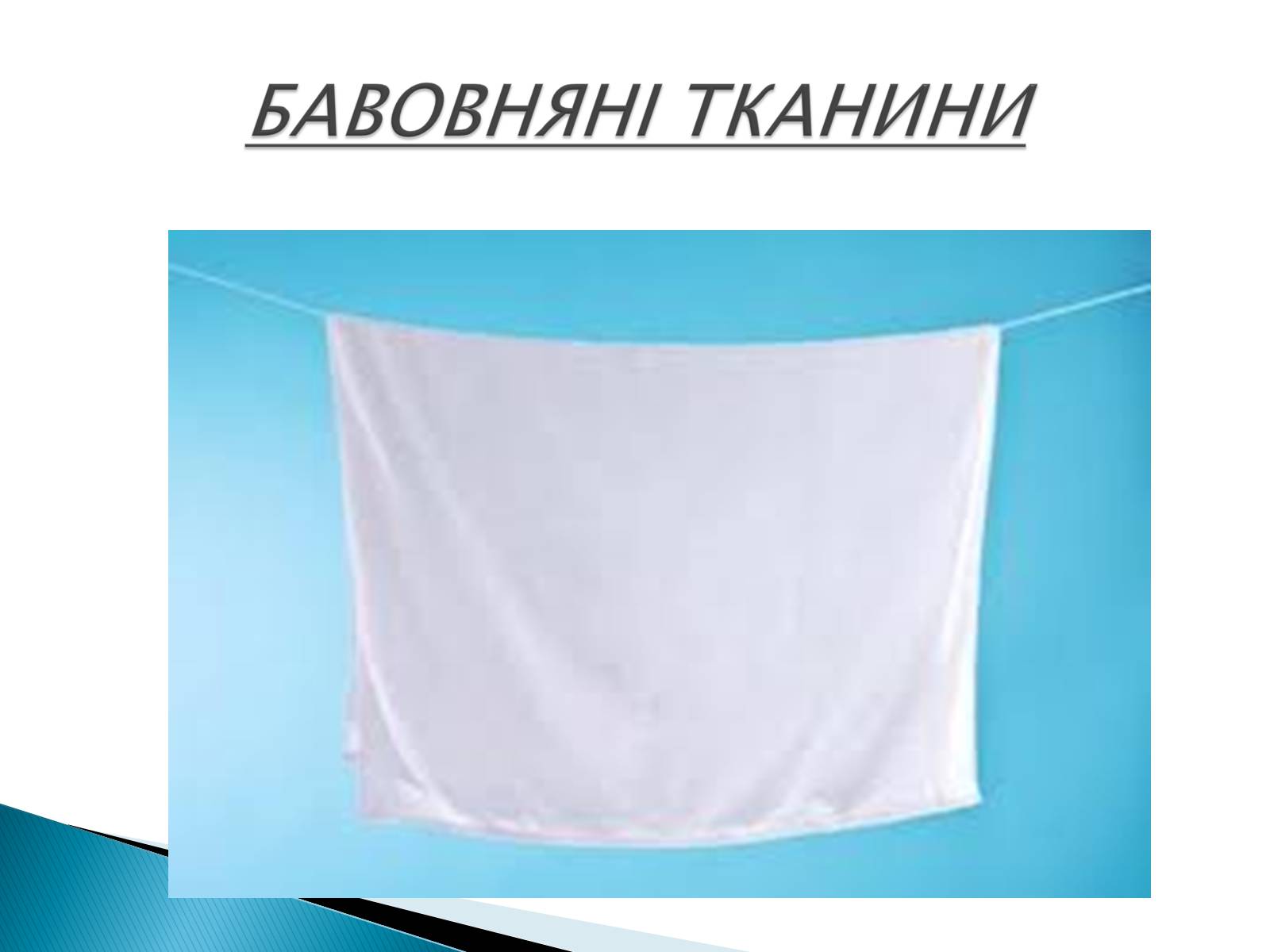 Презентація на тему «ПРИРОДНІ ВОЛОКНА» (варіант 2) - Слайд #19