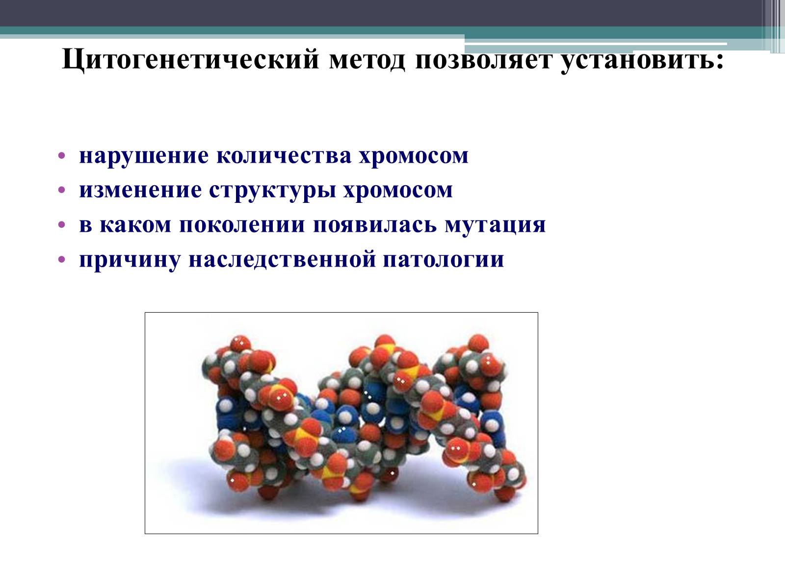 Презентація на тему «Цитогенетический метод исследования» - Слайд #6