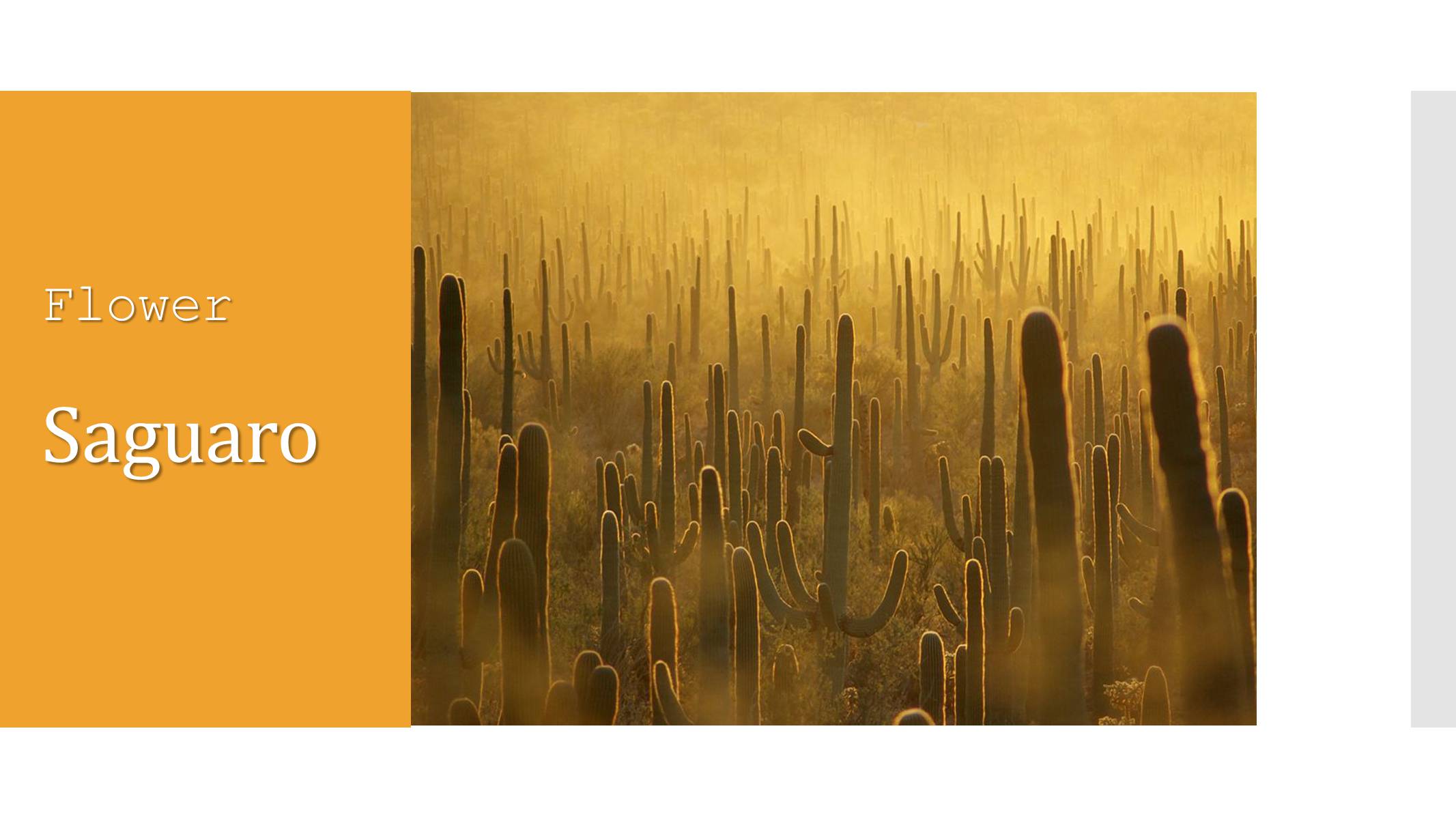 Презентація на тему «Arizona» - Слайд #3