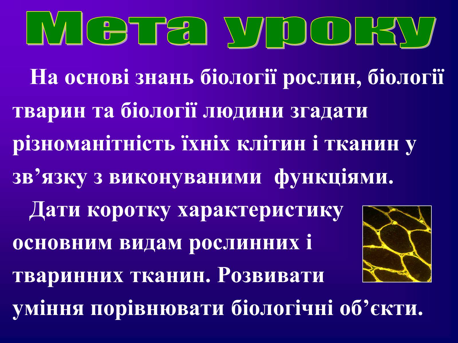 Презентація на тему «Різноманітність тканин живих організмів» - Слайд #2