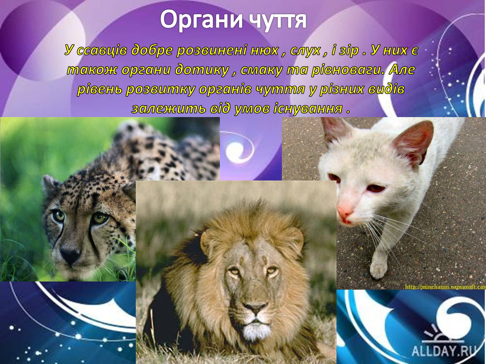 Презентація на тему «Внутрішня будова ссавців» (варіант 1) - Слайд #6