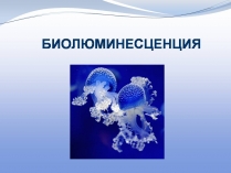 Презентація на тему «Биолюминесценция»