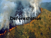 Презентація на тему «Deforestation» (варіант 2)