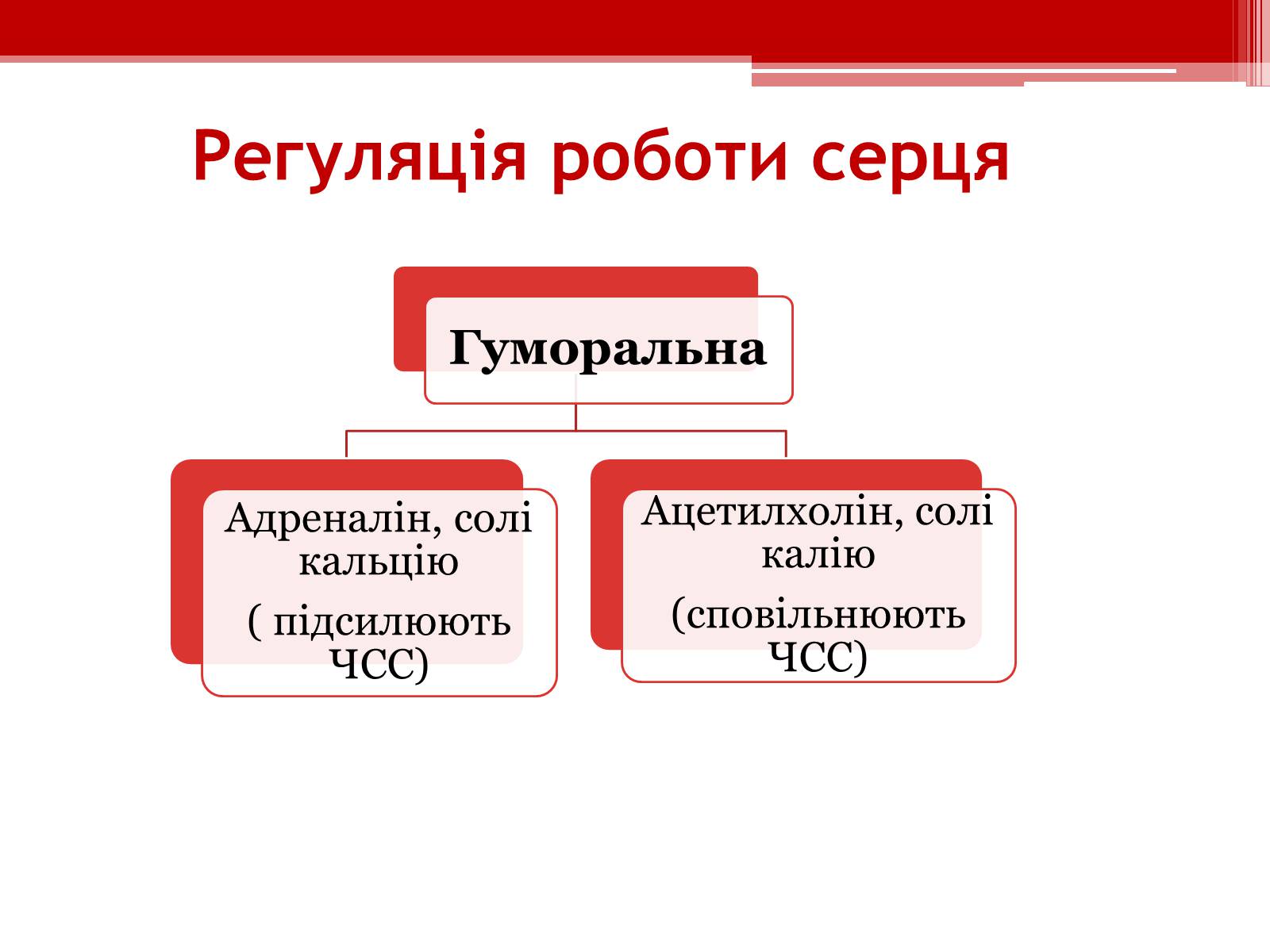 Презентація на тему «Серцевий цикл. Робота серця» - Слайд #10