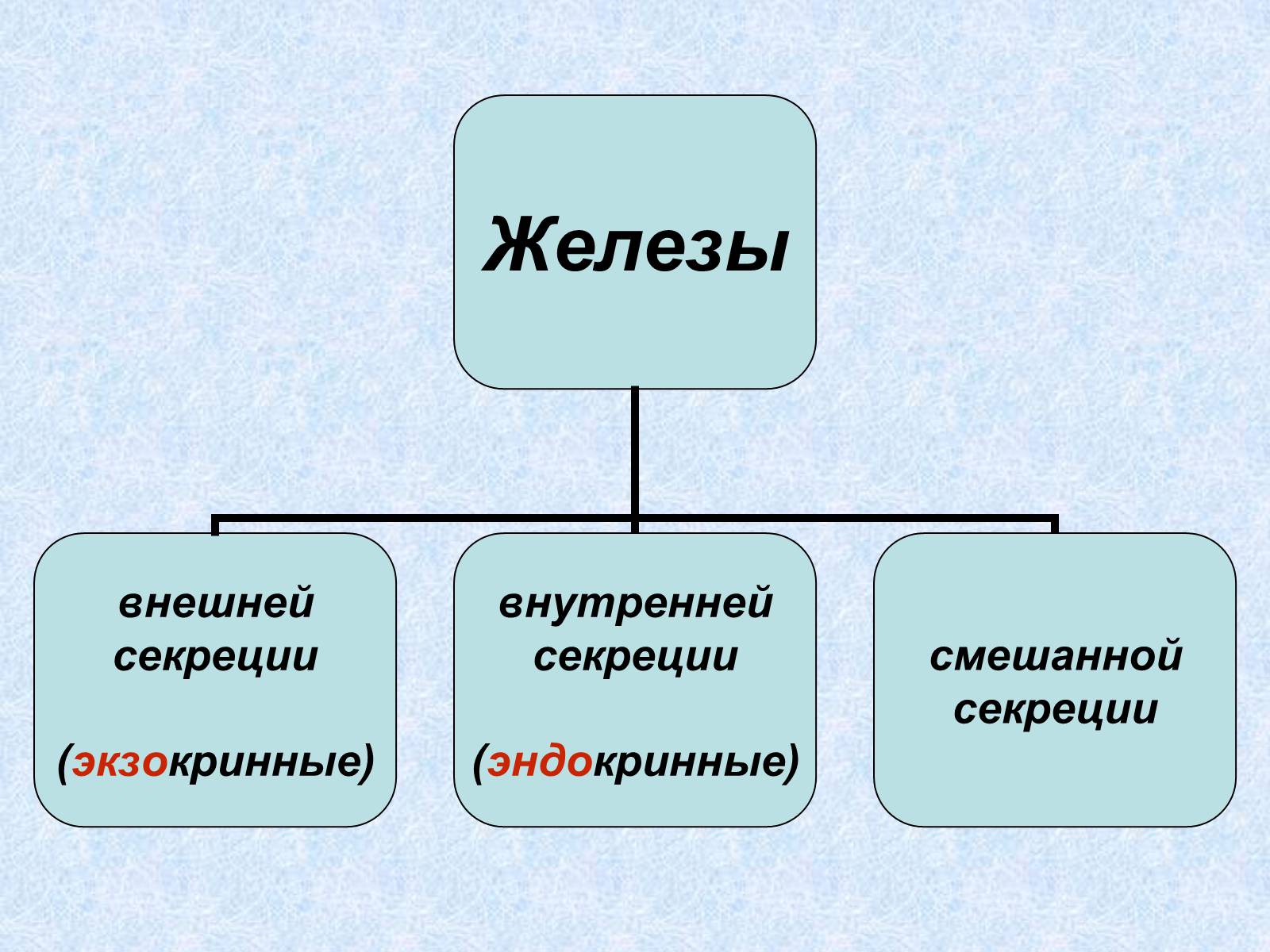 Презентація на тему «Эндокринные железы» - Слайд #4