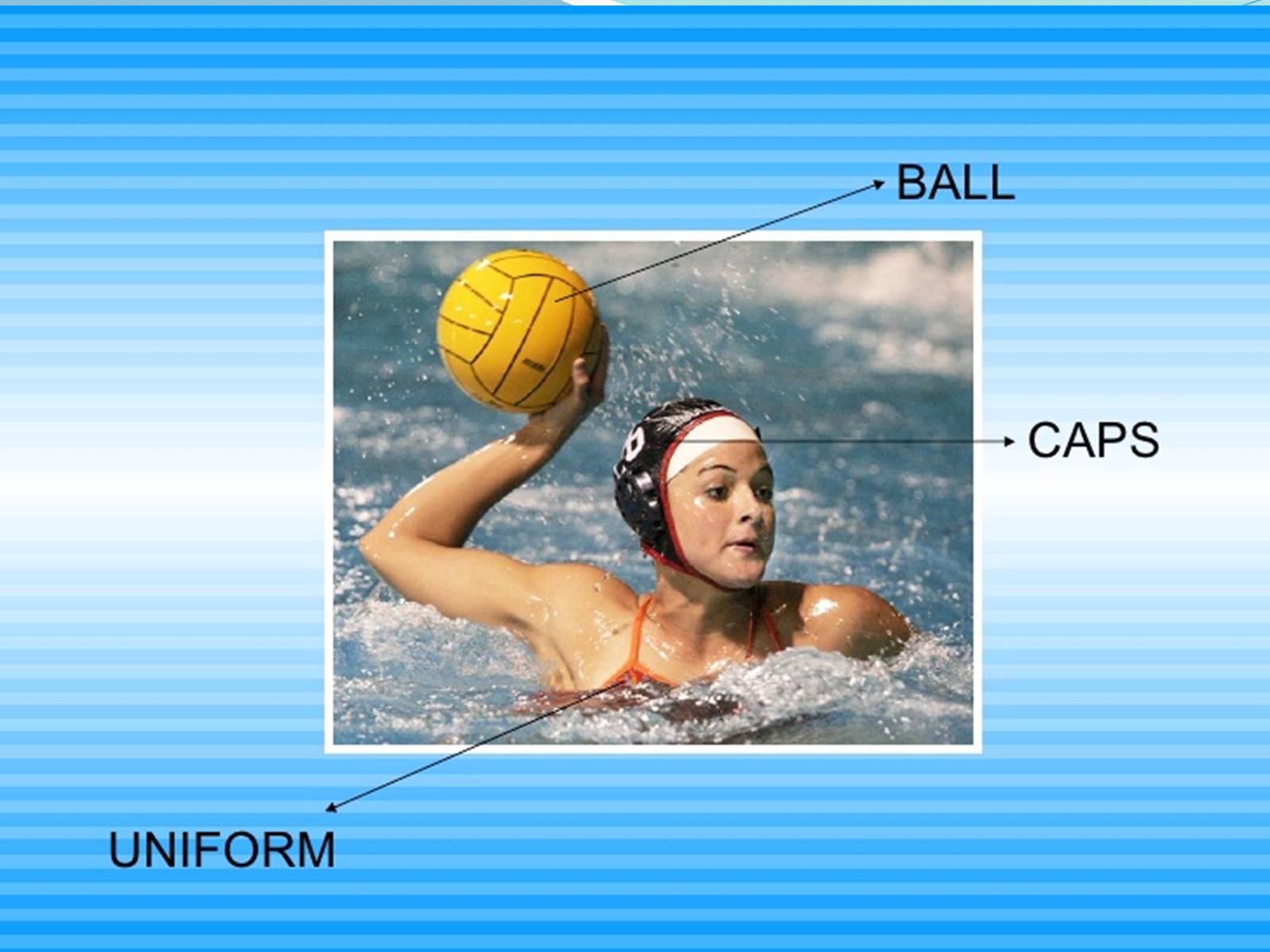 Презентація на тему «Water polo» - Слайд #12