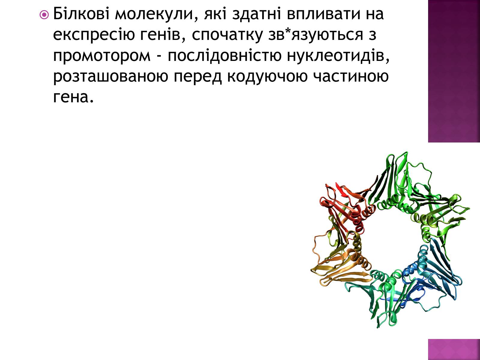 Презентація на тему «Основні закономірності функціонування генів у про – та еукаріотів» (варіант 2) - Слайд #10