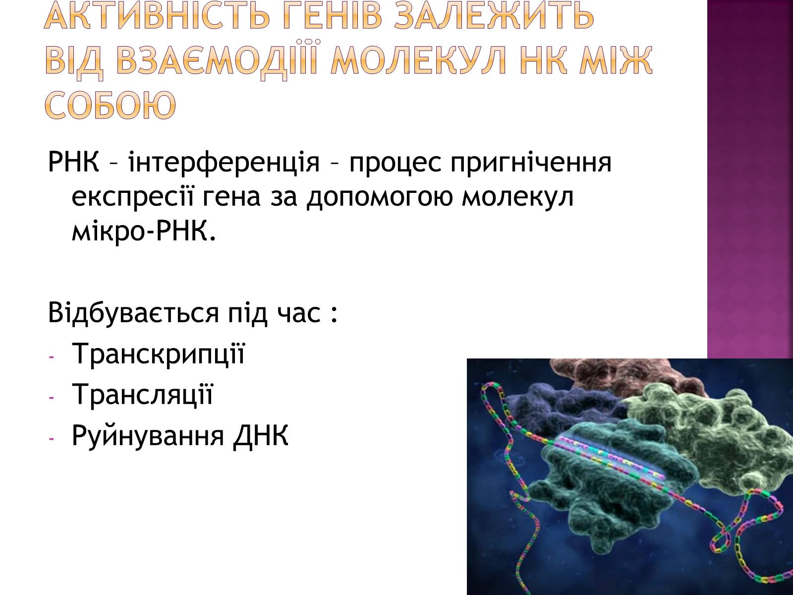 Презентація на тему «Основні закономірності функціонування генів у про – та еукаріотів» (варіант 2) - Слайд #23