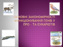 Презентація на тему «Основні закономірності функціонування генів у про – та еукаріотів» (варіант 2)